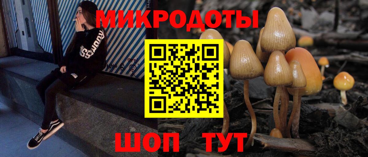 Галлюциногенные грибы прущие грибы Норильск