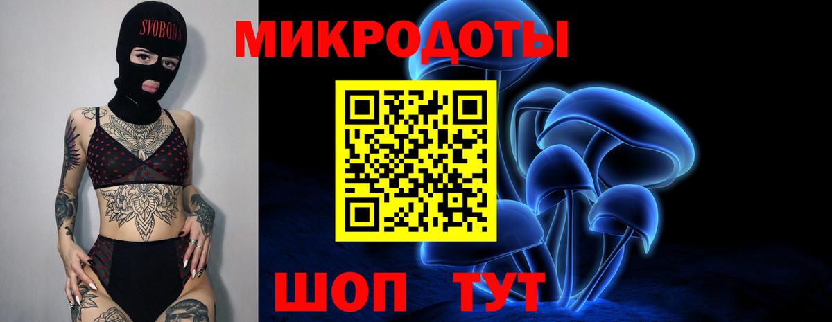 Норильск  Псилоцибиновые грибы Psilocybe  Вход с VPN  Псилоцибиновые грибы мицелий 